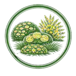 ДЕКОРАТИВНЫЕ КУСТАРНИКИ
